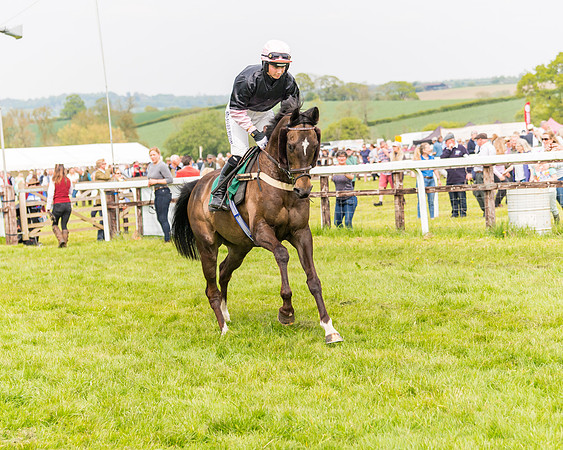 Race 2 - Owner-Trainer Conditions  (48 of 208)