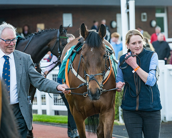 Race 5 - Mares Open  (6 of 329)