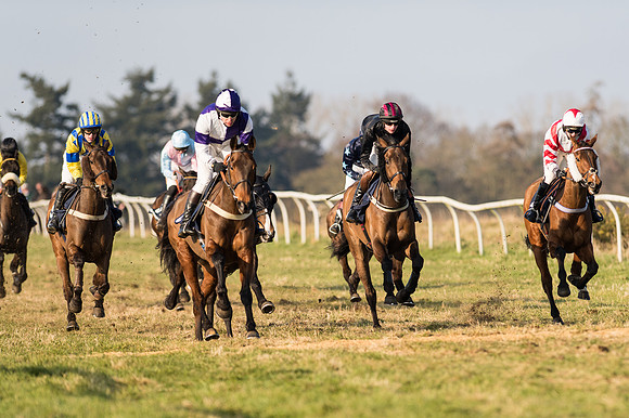 Race 5 - Restricted Race (25 of 64).jpg