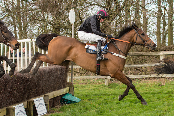 Race 2 - Young Horse Maiden (84 of 110).jpg