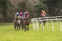 Race 1 - Young Horse Maiden (6 of 50).jpg