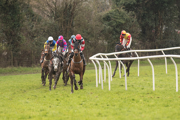 Race 1 - Young Horse Maiden (6 of 50).jpg