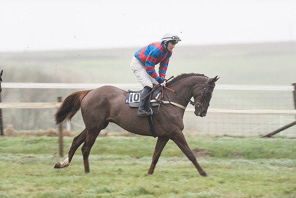 Race 5 - The Intermediate (18 of 59).jpg