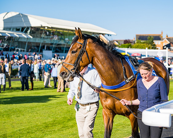 Race 3 - John Corbet Cup (5 of 127)
