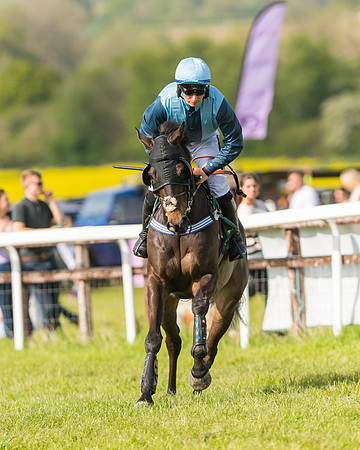 Race 5 - Restricted  (17 of 164)