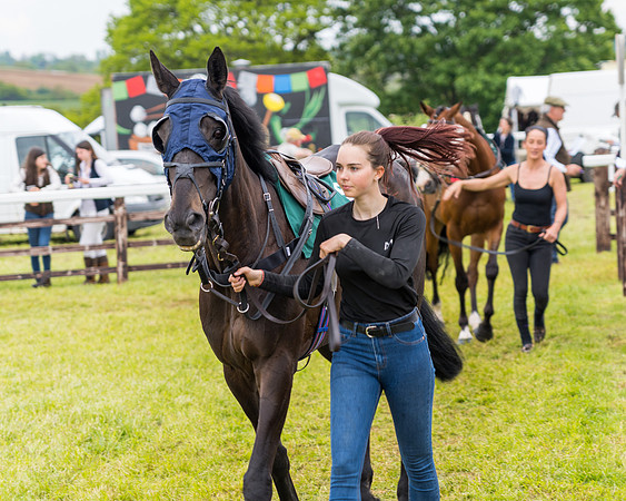 Race 7 - Veteran Horse conditions (9 of 244)