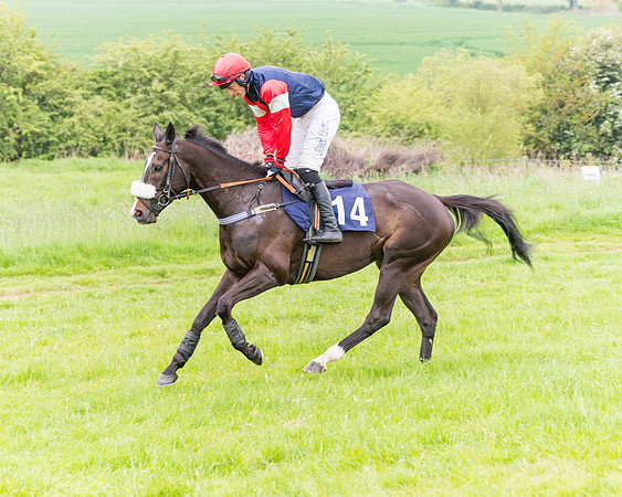 Race 6 - Maiden (20 of 129)