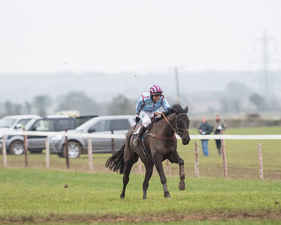 Race 6 - Open Maiden Race Div 1  (61 of 90).jpg