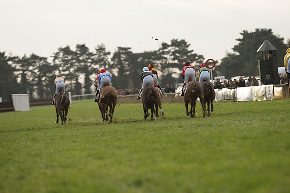 Race 5 - Open Maiden 49