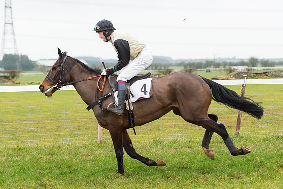 Race 6 - Open Maiden Race Div 2  (23 of 118).jpg