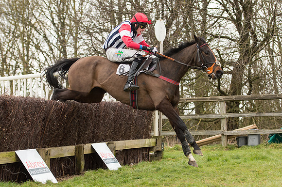Race 2 - PPORA Novice riders  (145 of 186).jpg