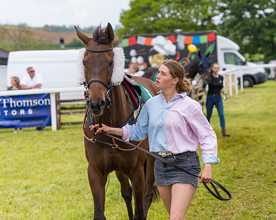 Race 7 - Veteran Horse conditions (6 of 244)