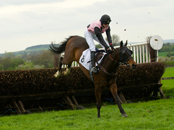 Race 4 - Nov-vets 29
