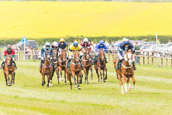 Race 2 - Owner-Trainer Conditions  (68 of 208)