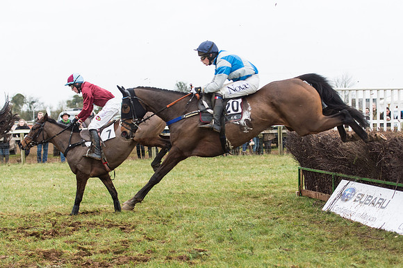 Race 6 - Open Maiden Race Div 2  (56 of 118).jpg