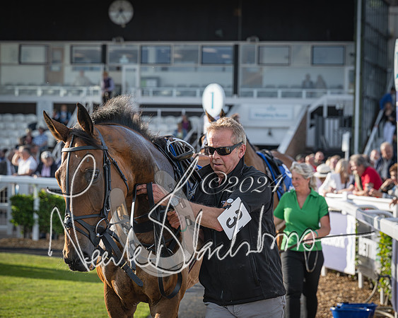 Race 4 - Peretemps Stratford Foxhunters (13 of 168)
