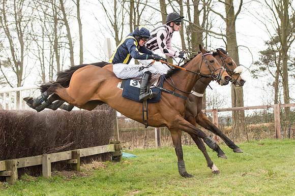 Race 2 - PPORA Novice riders  (103 of 186).jpg