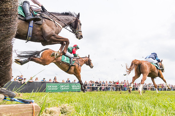 Race 2 - Owner-Trainer Conditions  (110 of 208)
