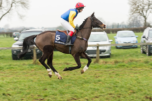 Race 5 - The Restricted Race (23 of 86).jpg