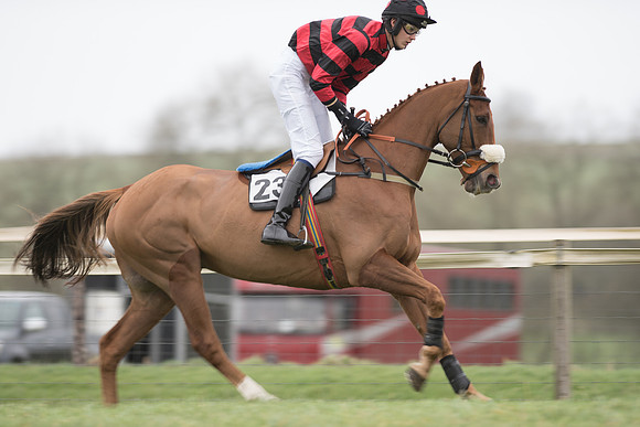 Race 1 - Novice Riders (2 of 86).jpg