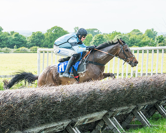 Race 6 - Open Maiden (228 of 346)