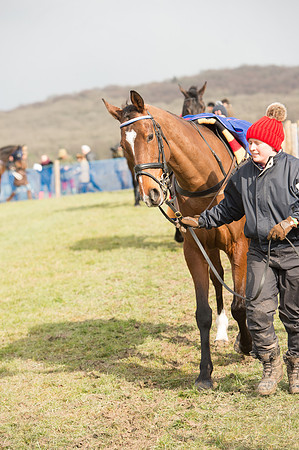 Race 2 - Open Maiden (18 of 192).jpg