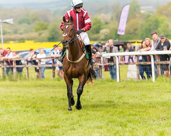 Race 2 - Owner-Trainer Conditions  (38 of 208)