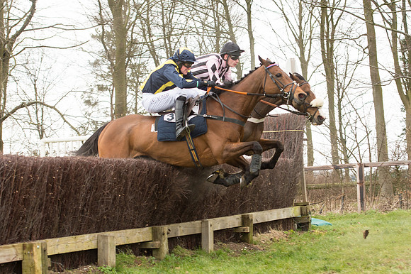 Race 2 - PPORA Novice riders  (101 of 186).jpg
