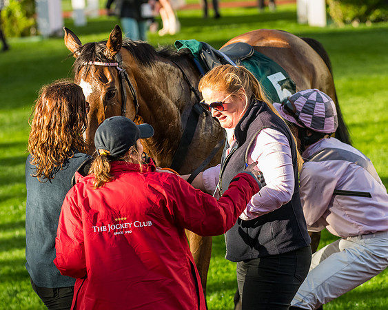 Race 5 - Mares Open  (243 of 329)
