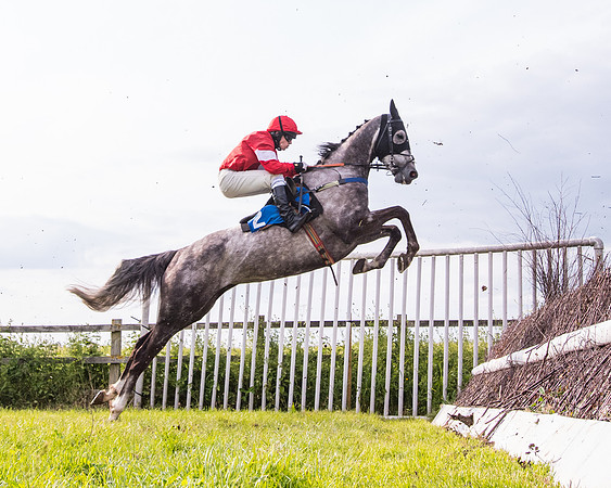 Race 6 - Open Maiden (153 of 346)