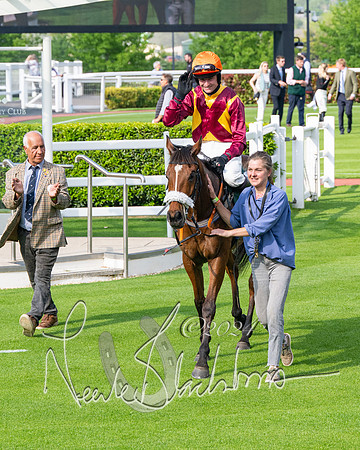 Race 1 - The Bottle Green Open Hunters steeplechase 2m62y (75 of 93)