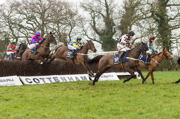 Race 5 - The Restricted Race (53 of 86).jpg
