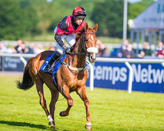 Race 1 - JFF Open Hunter Steeple Chase 2m  (10 of 202)