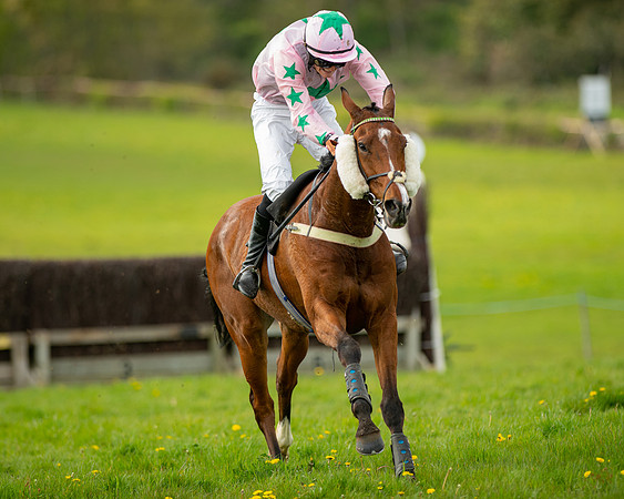 Race 5 - Open Maiden  (78 of 89)