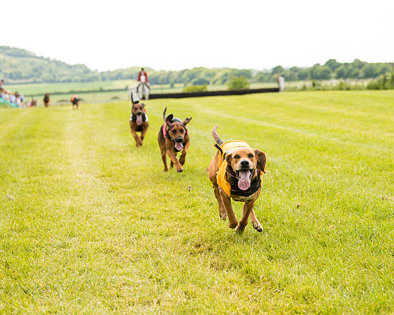 Draghounds Race (96 of 212)