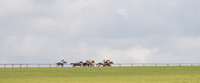 Race 5 - Ladies Open Race (3 of 66).jpg