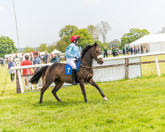 Pony Race 2 - 148cm (2 of 142)