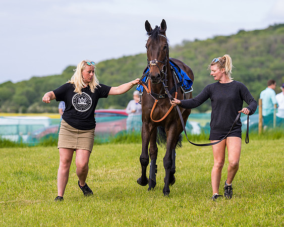 Race 6 - Open Maiden (67 of 346)