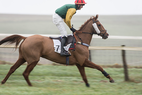 Race 4 - The Mens Open (13 of 82).jpg