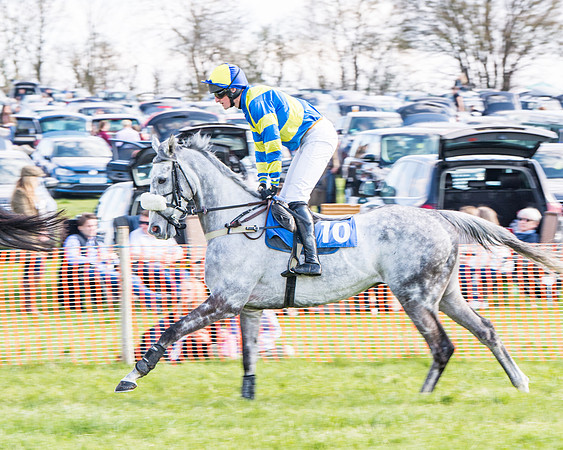 Race 4 - The Warehouse Reit Mixed Open Race  (11 of 124)