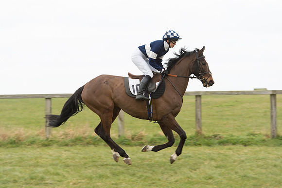 Race 2 - PPORA Novice riders  (14 of 186).jpg
