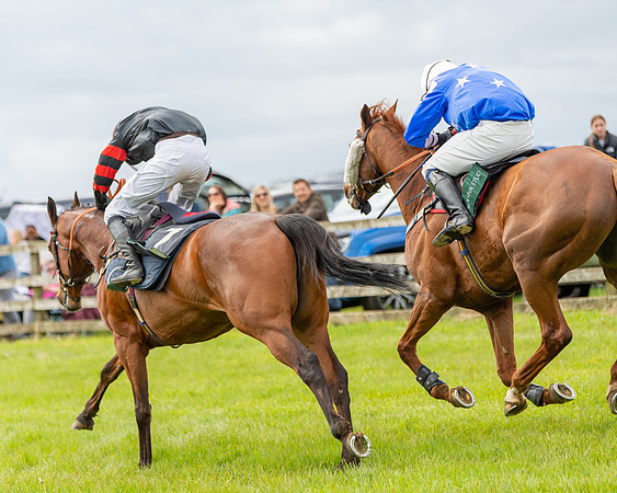 Race 2 - ROR and veteran Horse Conditions race (53 of 77)