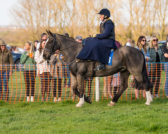 Side Saddle dash  (15 of 170)