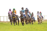 Pony Races