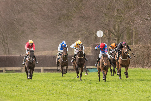 Race 2 - Young Horse Maiden (69 of 110).jpg