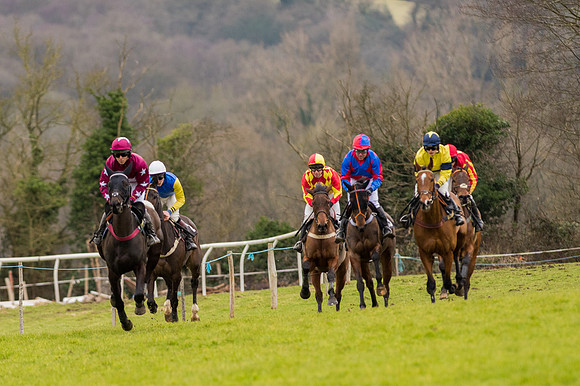 Race 5 - Open Maiden (5 of 38).jpg