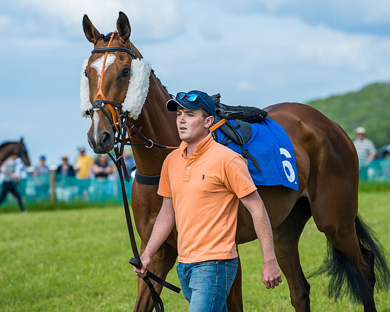 Race 5 - Restricted (48 of 335)