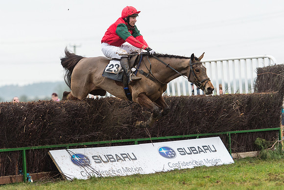 Race 6 - Open Maiden Race Div 1  (70 of 90).jpg