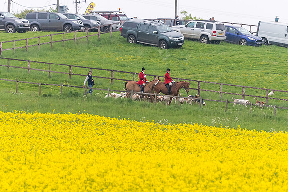 Hunt and Hounds (1 of 12)