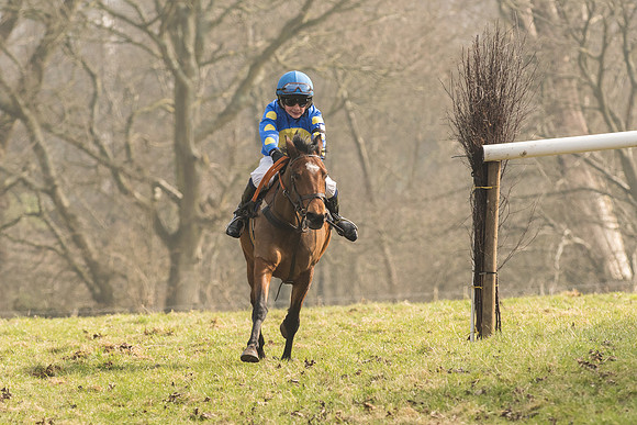 Pony Race 2 -  (26 of 32).jpg